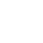 MEDIA PARTNER