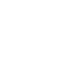 COMMUNITY PARTNER
