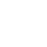 COMMUNITY PARTNER
