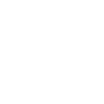 TECHNICAL PARTNER
